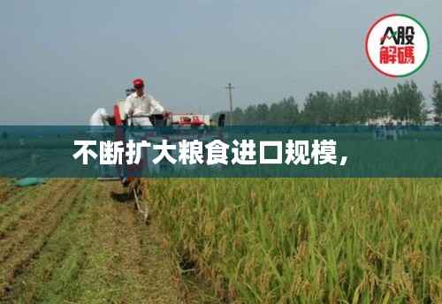 不断扩大粮食进口规模,