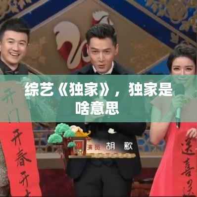 综艺《独家》，独家是啥意思 