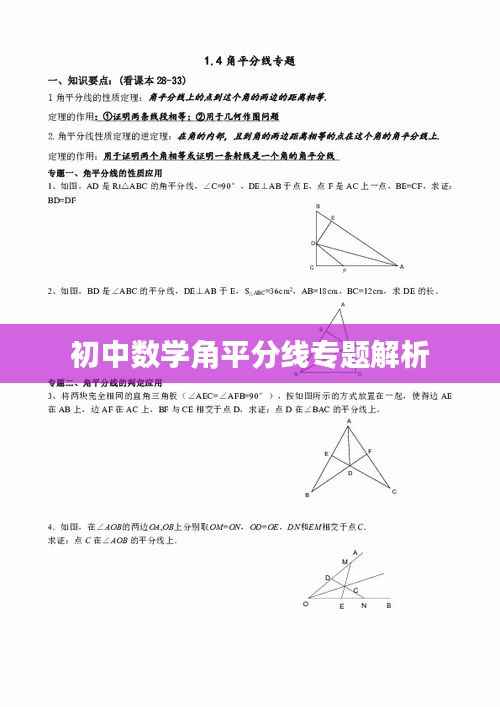 初中数学角平分线专题解析