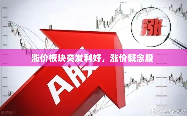 涨价板块突发利好，涨价慨念股 