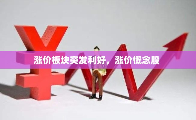 涨价板块突发利好,涨价慨念股