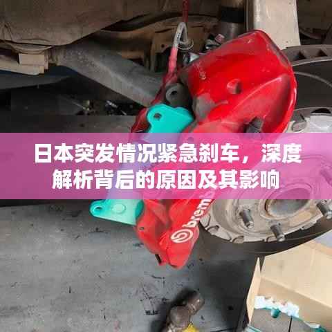 日本突发情况紧急刹车,深度解析背后的原因及其影响