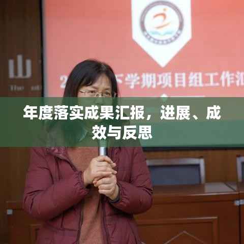 年度落实成果汇报,进展、成效与反思