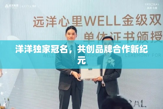 洋洋独家冠名,共创品牌合作新纪元