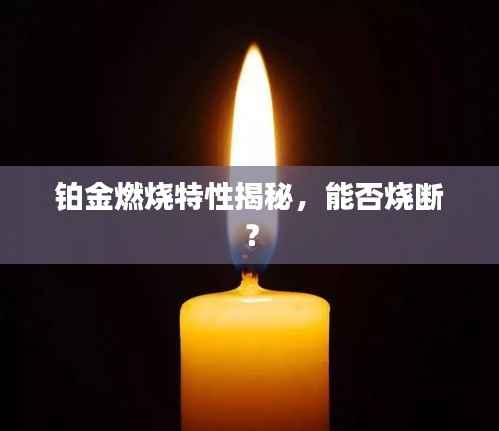 铂金燃烧特性揭秘,能否烧断?