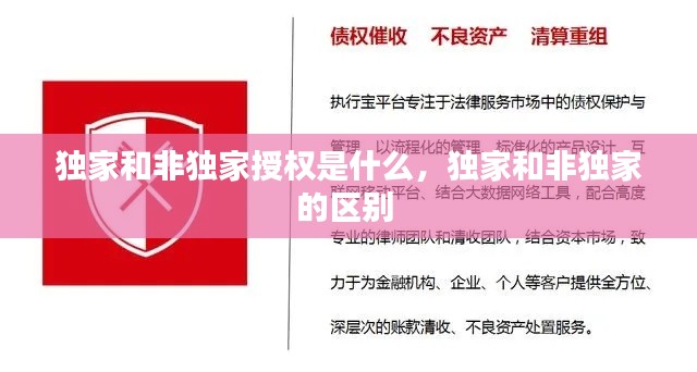 独家和非独家授权是什么,独家和非独家的区别