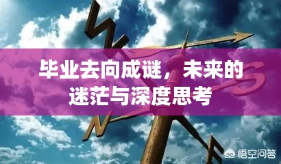 毕业去向成谜,未来的迷茫与深度思考