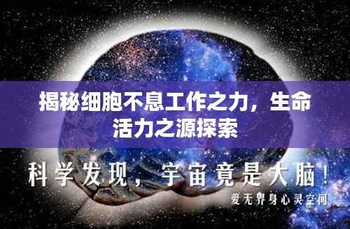 揭秘细胞不息工作之力,生命活力之源探索