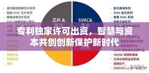 专利独家许可出资,智慧与资本共创创新保护新时代