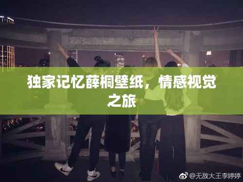 独家记忆薛桐壁纸,情感视觉之旅