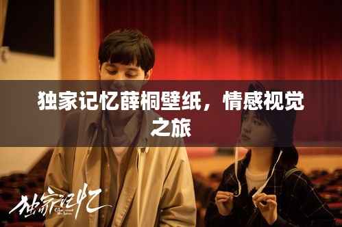 独家记忆薛桐壁纸,情感视觉之旅