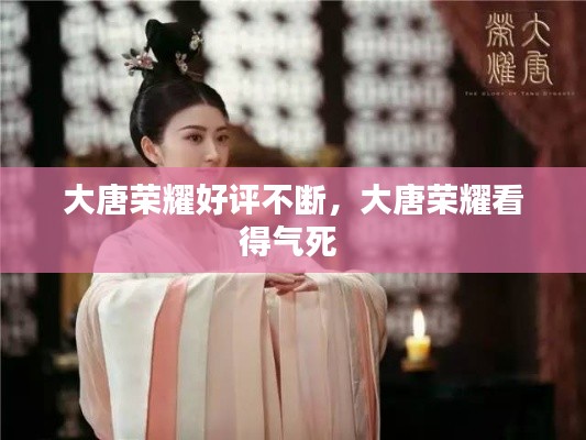 大唐荣耀好评不断,大唐荣耀看得气死