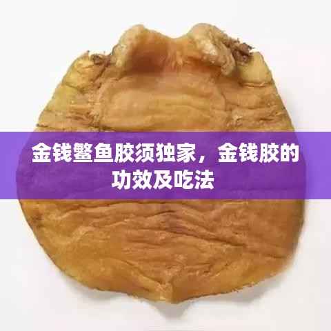 作舍道边 第4页