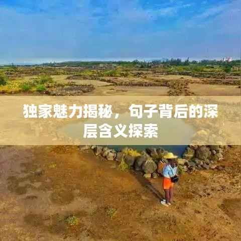 独家魅力揭秘,句子背后的深层含义探索