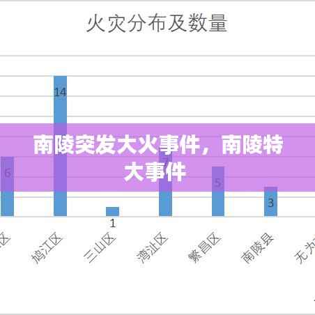 南陵突发大火事件，南陵特大事件 
