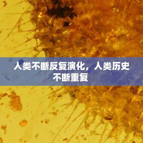 炙手可热 第3页