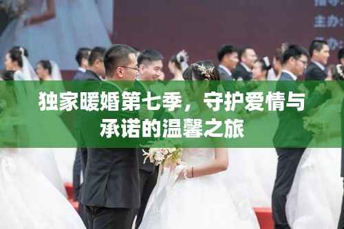 独家暖婚第七季,守护爱情与承诺的温馨之旅