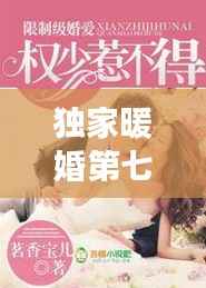 独家暖婚第七季,守护爱情与承诺的温馨之旅