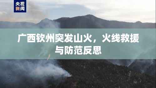 广西钦州突发山火,火线救援与防范反思