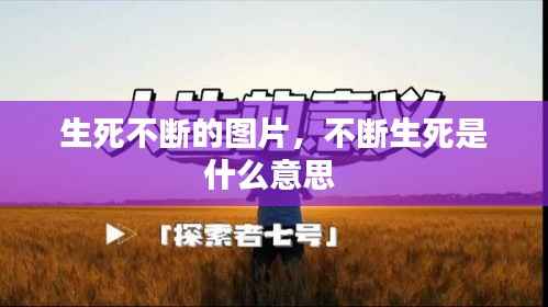 鸟集鳞萃 第3页