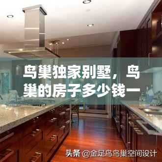 鸟巢独家别墅，鸟巢的房子多少钱一平 