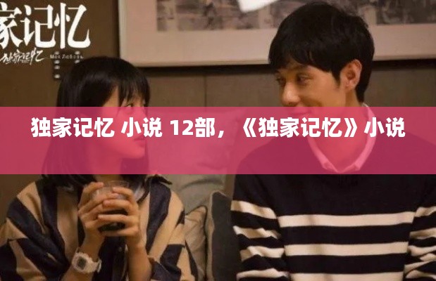 独家记忆 小说 12部,《独家记忆》小说