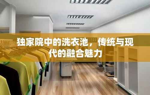 独家院中的洗衣池,传统与现代的融合魅力