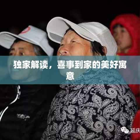 独家解读,喜事到家的美好寓意
