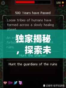 独家揭秘,探索未知领域的神秘宝典,秘籍大公开!