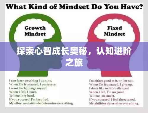 探索心智成长奥秘,认知进阶之旅