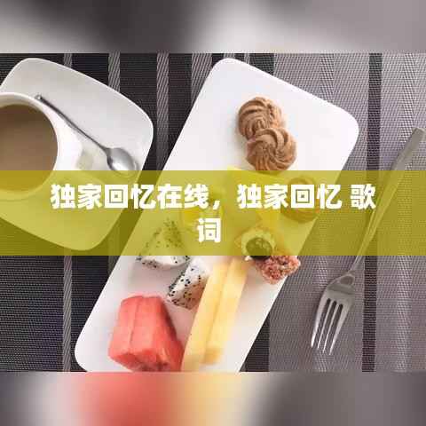 独家回忆在线，独家回忆 歌词 