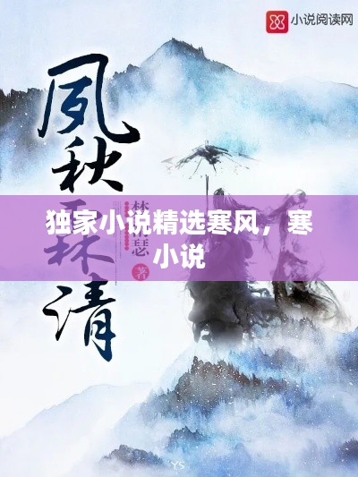 独家小说精选寒风，寒 小说 