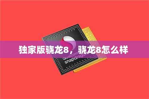 独家版骁龙8，骁龙8怎么样 