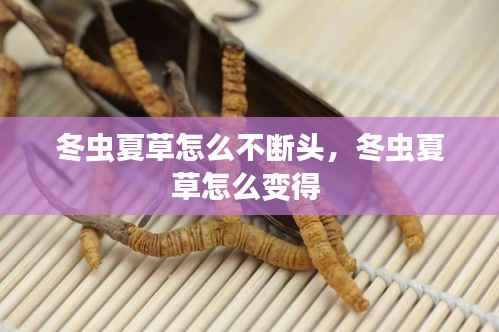 冬虫夏草怎么不断头，冬虫夏草怎么变得 
