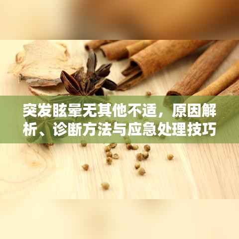 突发眩晕无其他不适,原因解析、诊断方法与应急处理技巧