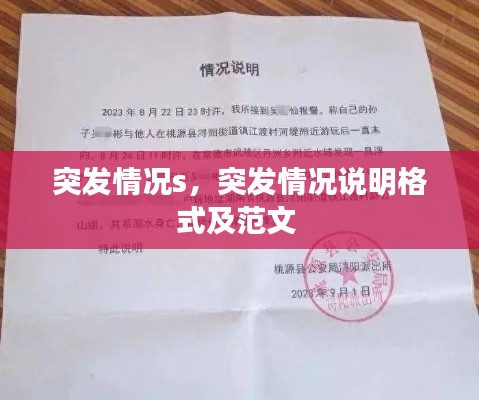 突发情况s，突发情况说明格式及范文 