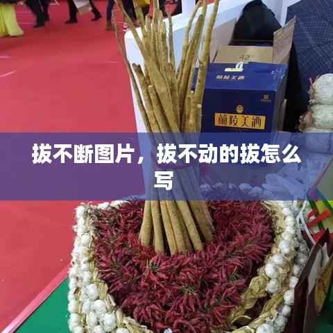 张惶失措 第4页