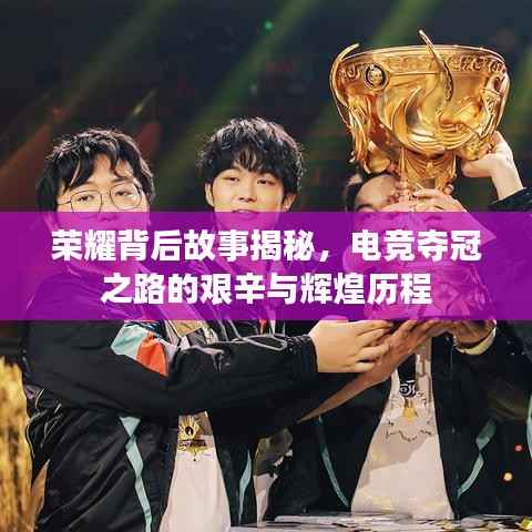 荣耀背后故事揭秘,电竞夺冠之路的艰辛与辉煌历程