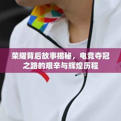 荣耀背后故事揭秘,电竞夺冠之路的艰辛与辉煌历程