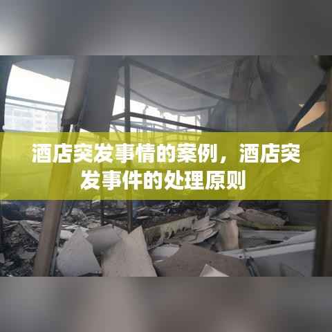 酒店突发事情的案例,酒店突发事件的处理原则