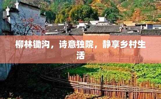 柳林锄沟,诗意独院,静享乡村生活