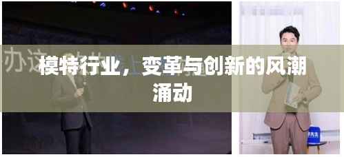 模特行业,变革与创新的风潮涌动