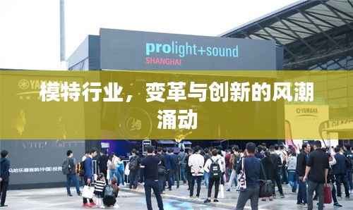 模特行业,变革与创新的风潮涌动