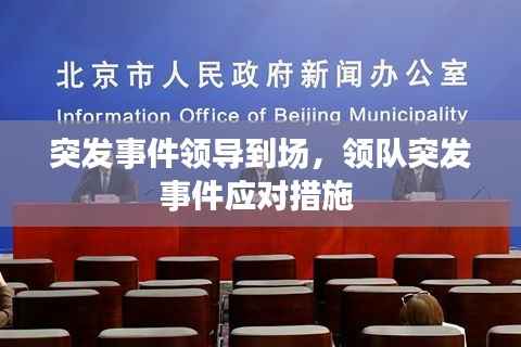 突发事件领导到场,领队突发事件应对措施