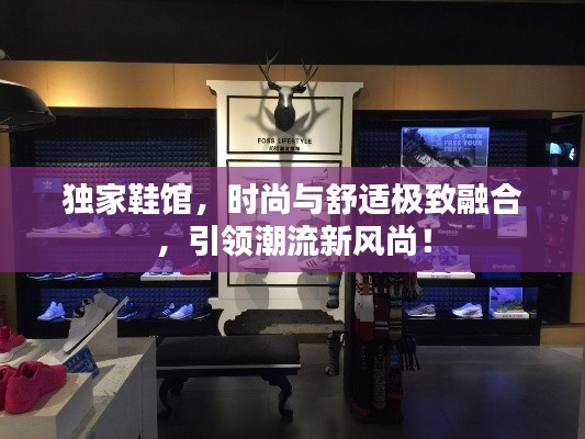 独家鞋馆,时尚与舒适极致融合,引领潮流新风尚!