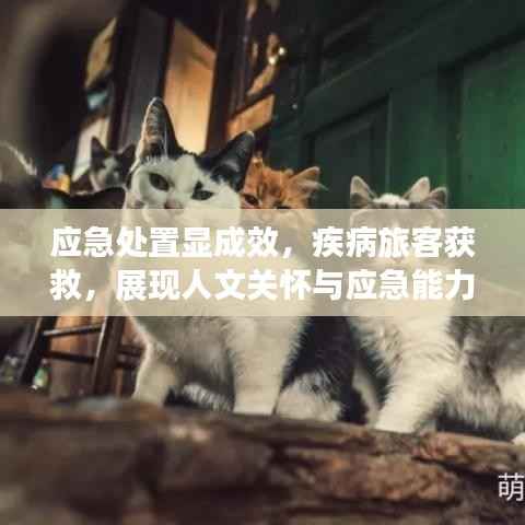 应急处置显成效,疾病旅客获救,展现人文关怀与应急能力融合典范