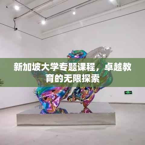 新加坡大学专题课程,卓越教育的无限探索