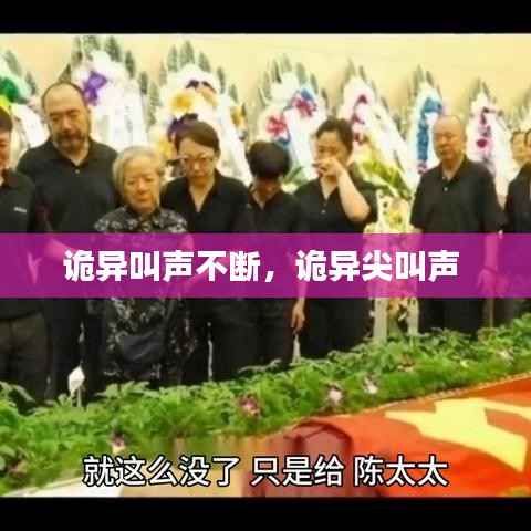 诡异叫声不断,诡异尖叫声