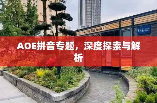 AOE拼音专题，深度探索与解析