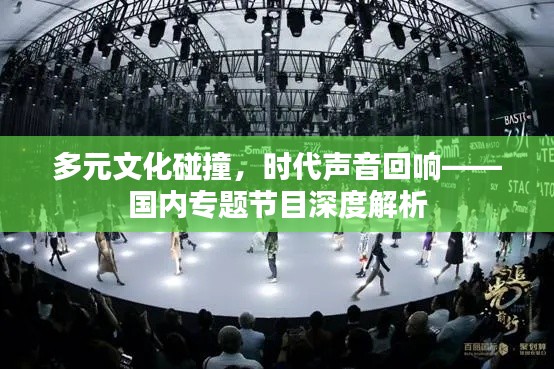 多元文化碰撞,时代声音回响——国内专题节目深度解析